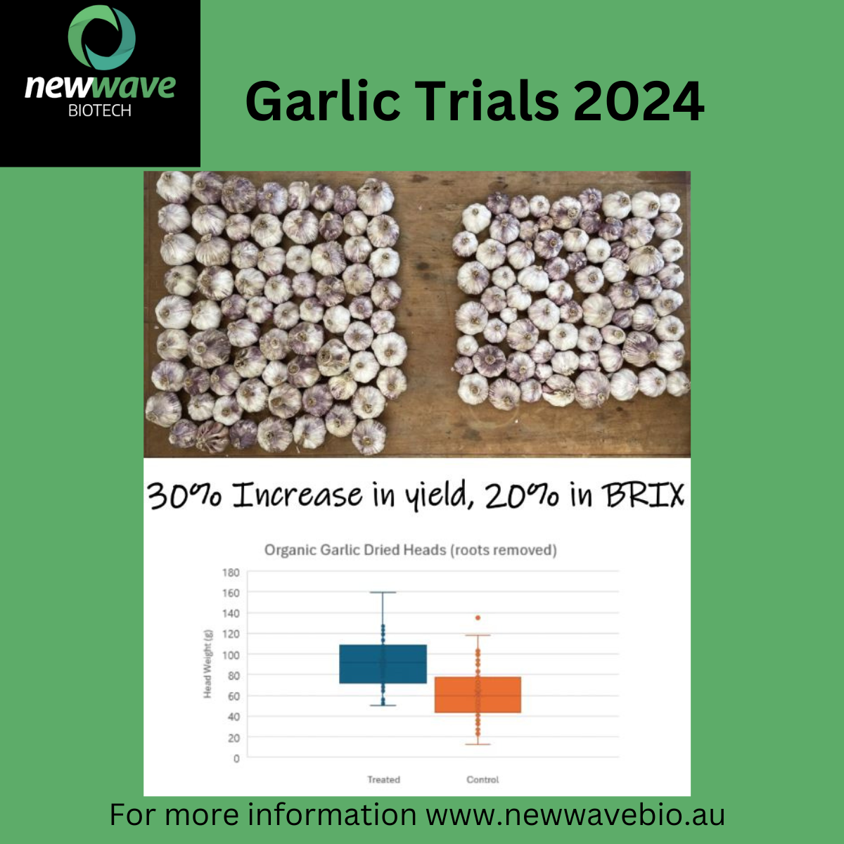 Garlic Trial Results 2024