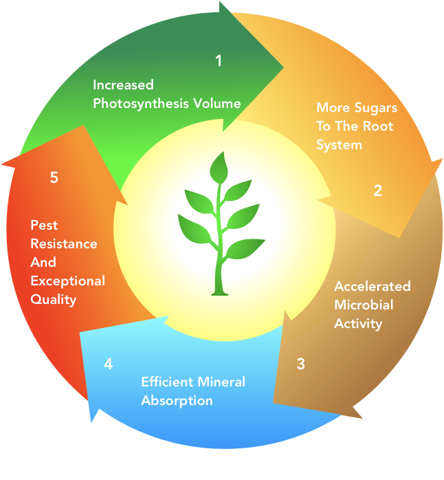 NewWave Biotech